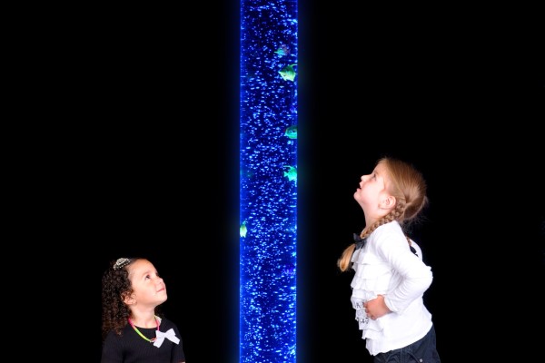 Clever Kids project